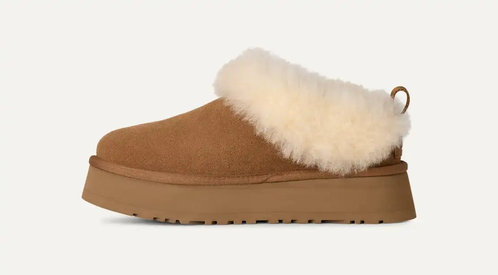 Ugg tazzelle